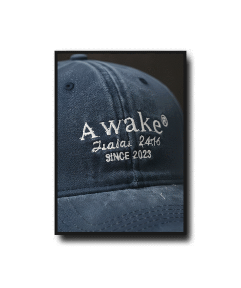 Gorras Vintage - Image 6