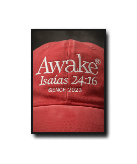 Gorras Vintage v2 - Image 7
