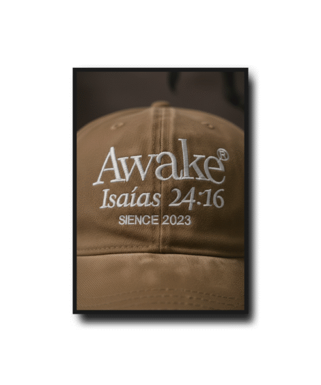 Gorras Vintage v2 - Image 16
