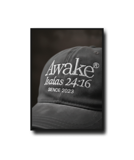 Gorras Vintage v2 - Image 13
