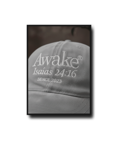 Gorras Vintage v2 - Image 10