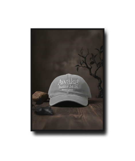 Gorras Vintage v2 - Image 9