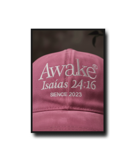 Gorras Vintage v2 - Image 4