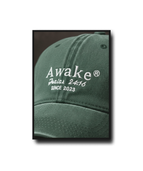 Gorras Vintage - Image 11